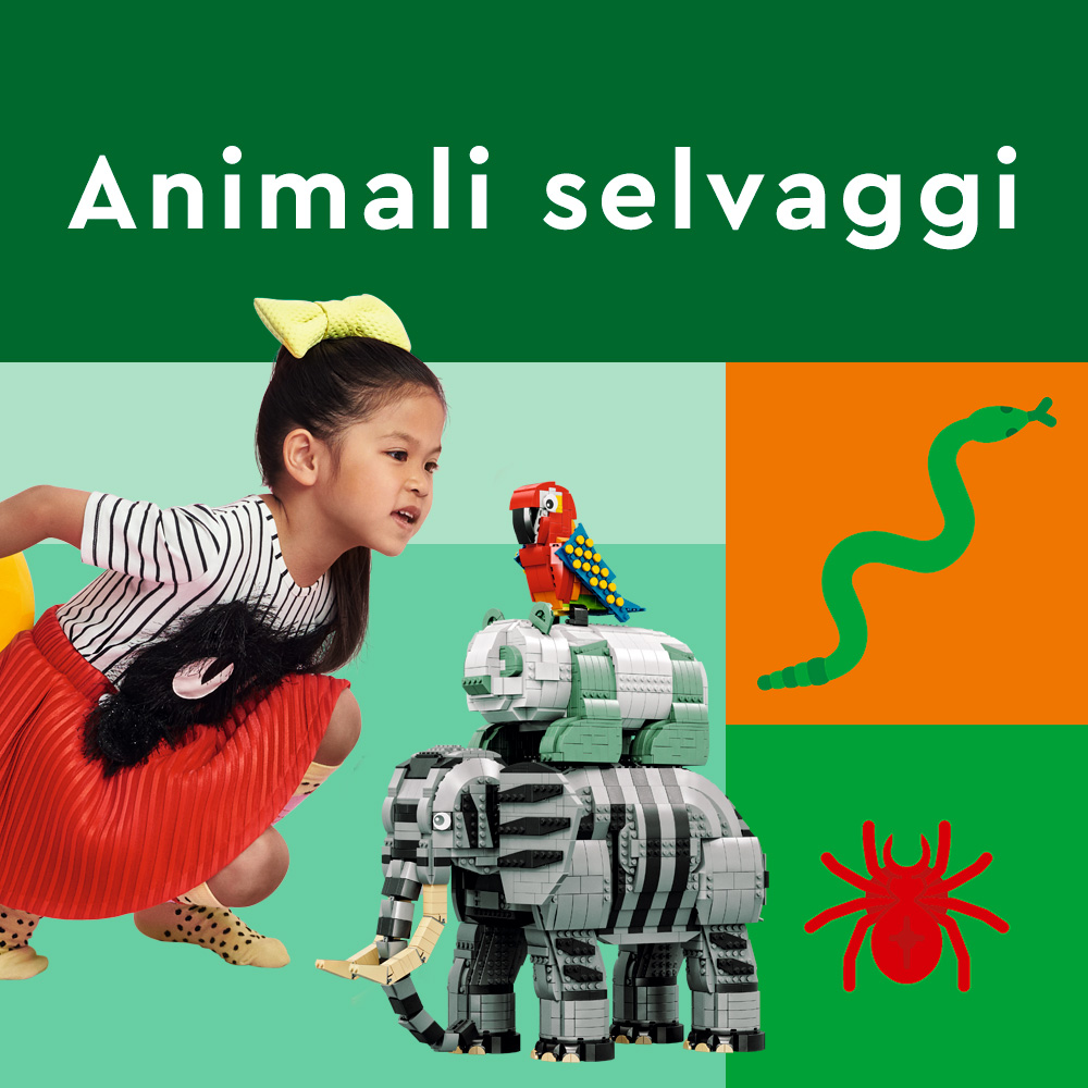 Immagine 2